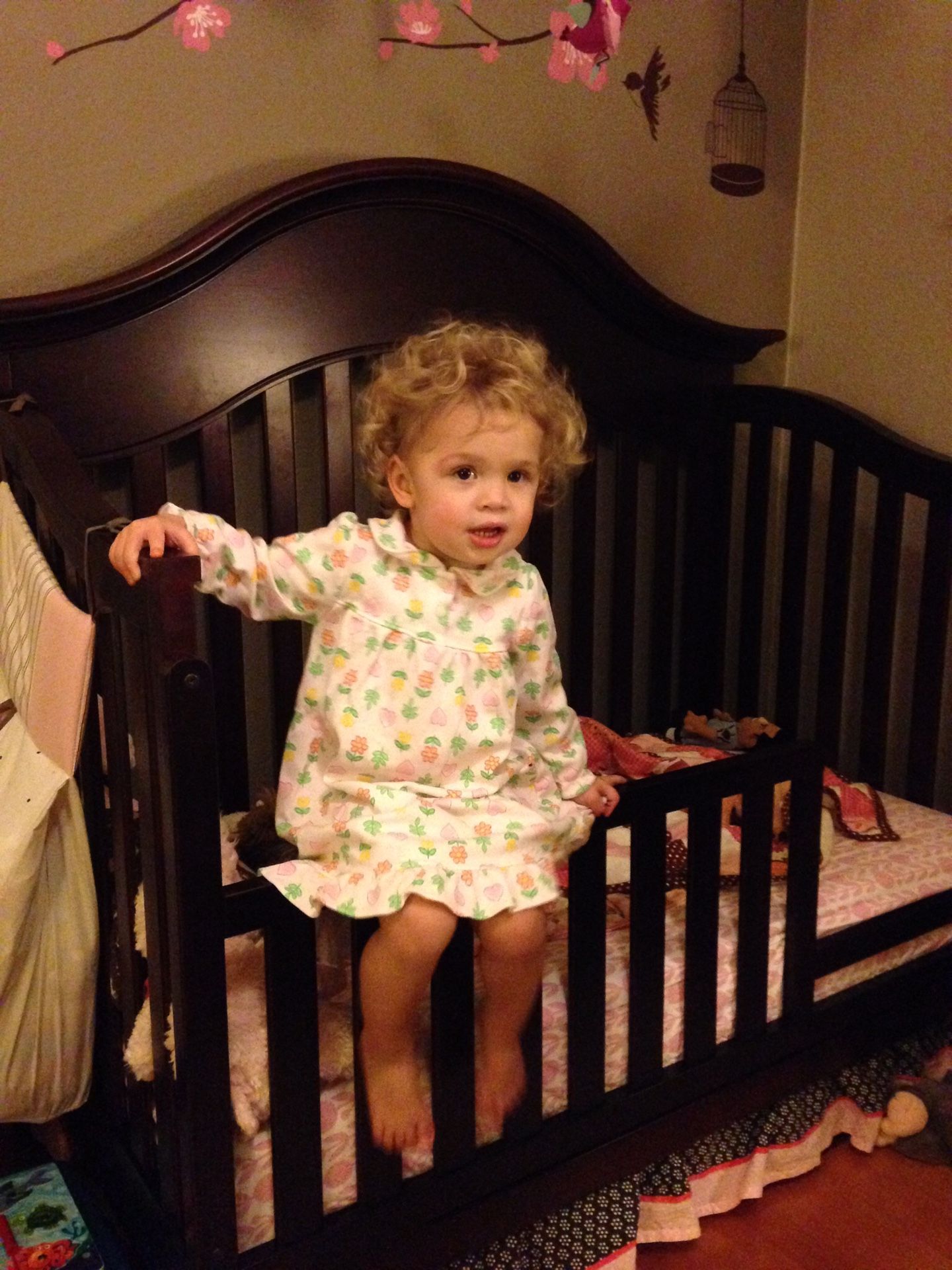 Baby Cache Oxford Crib, Toddler Bed, Full size bed conversion kit for Sale in Everett, WA OfferUp