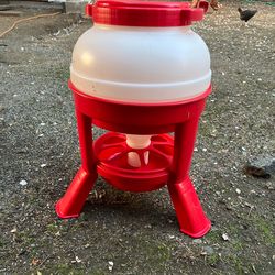 Chicken feeders