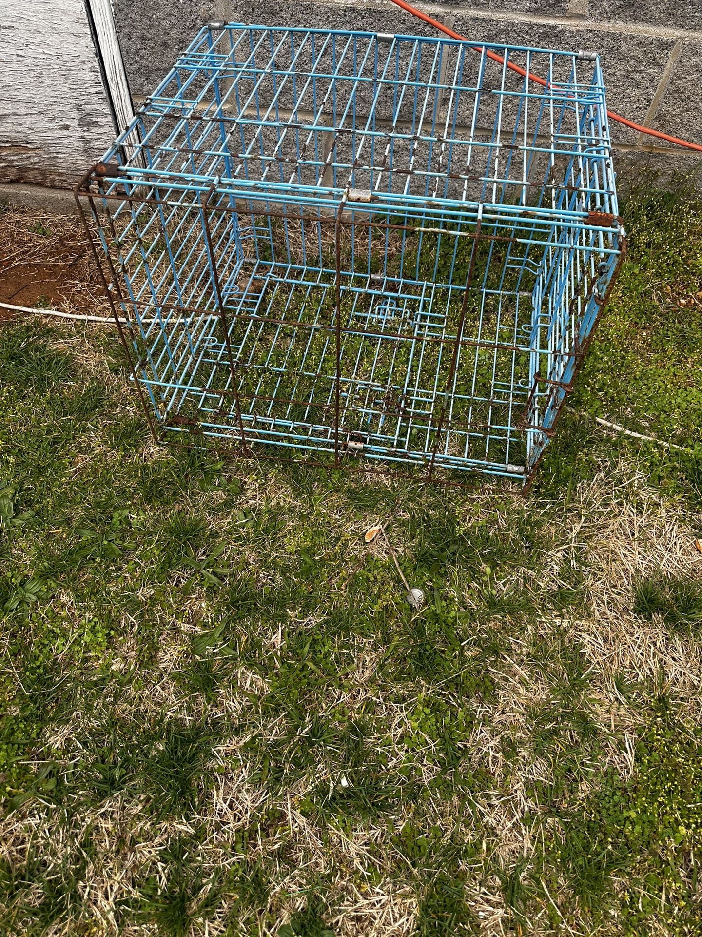 Animal Cage