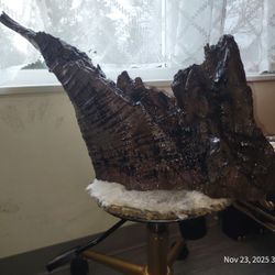 Maple Driftwood Art piece 