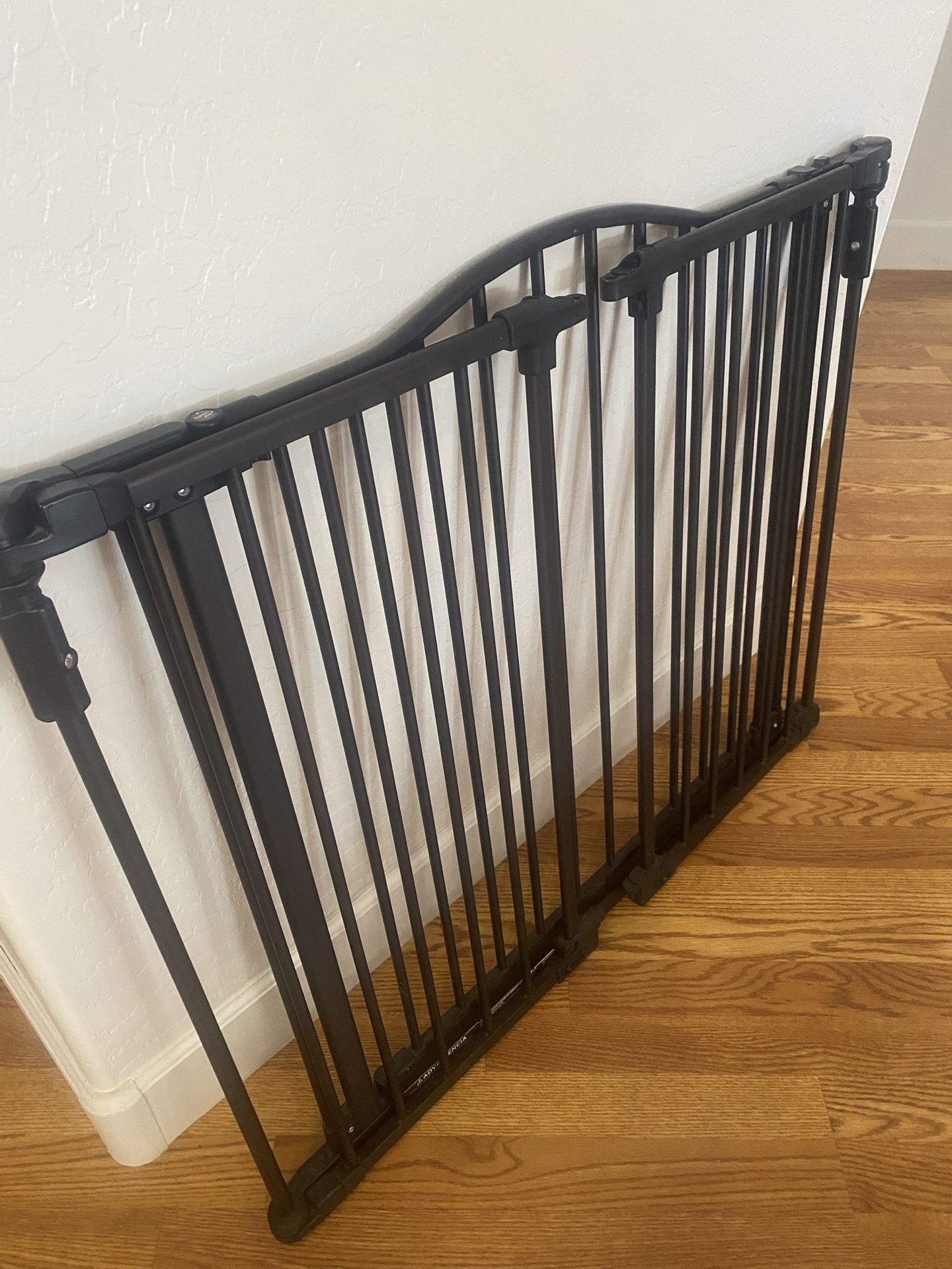 Dog Fence
