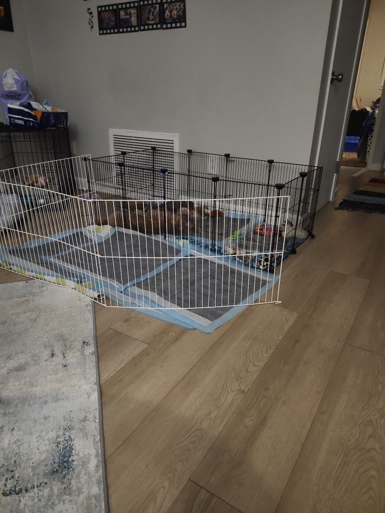 Doggie Playpen