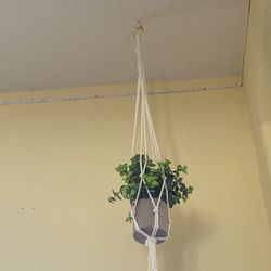 Fake Plant W/ Crotchet Hanger