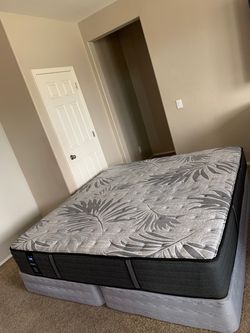 KING SEALY MATTRESS AND FREE BOX SPRINGS