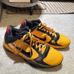Kobe VI Bruce Lee
