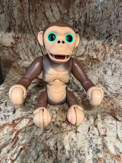Monkey