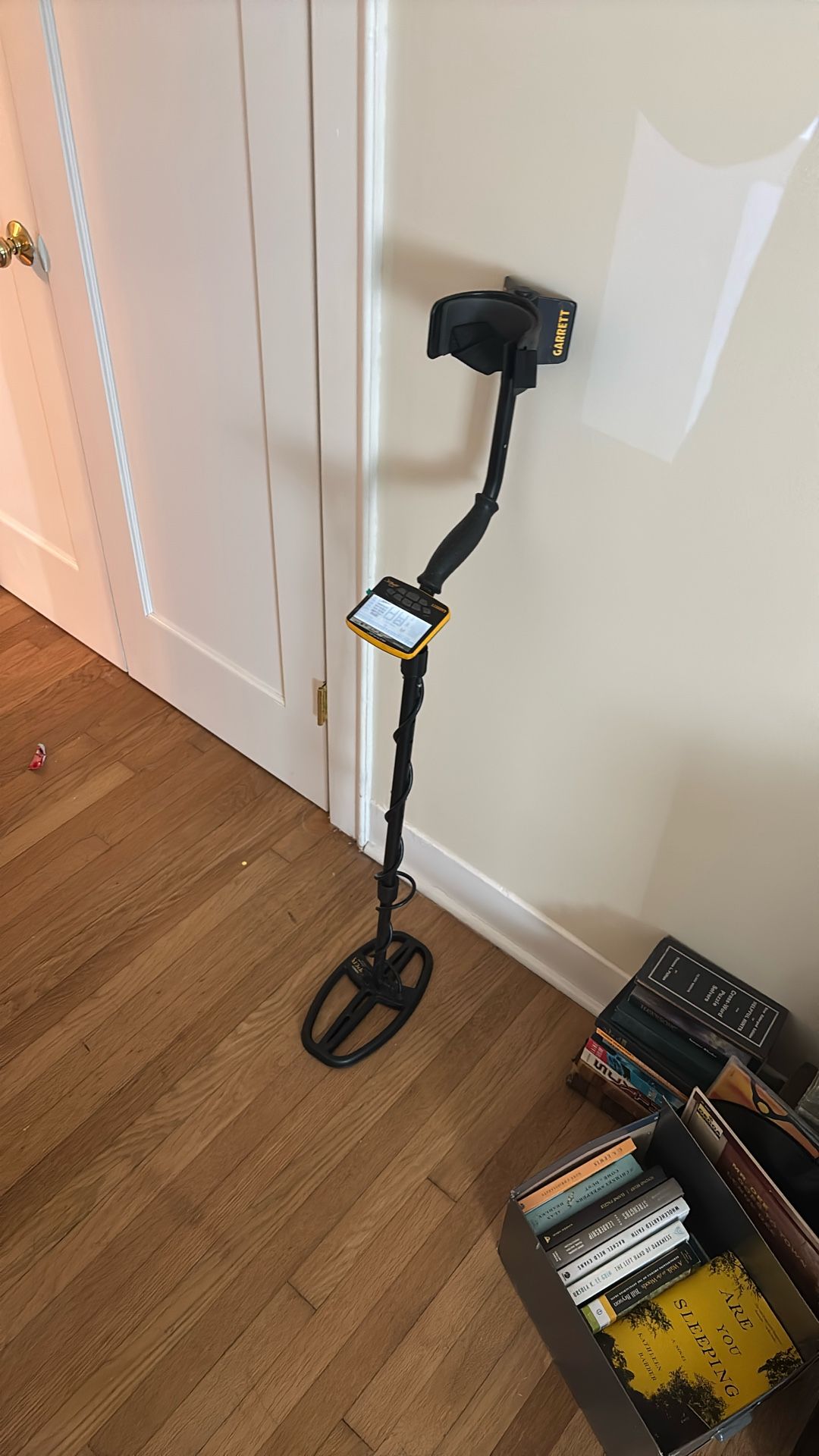 Metal Detector