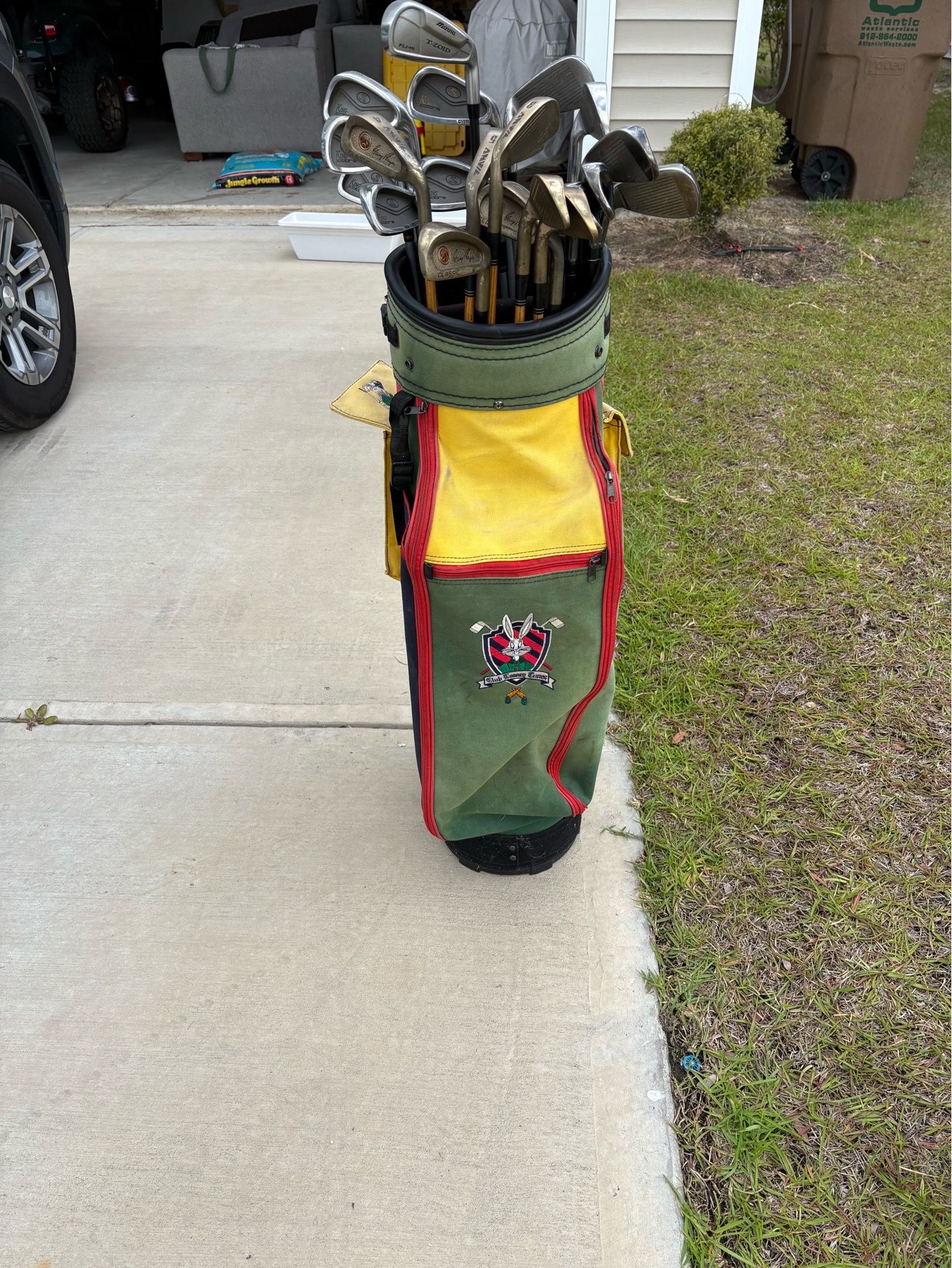 Golf iron. Taylor made and cobra