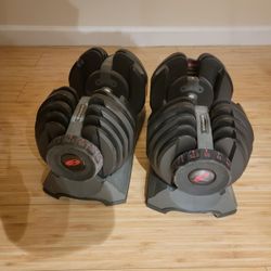 Bowflex Weights
