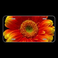 License Plate Novelty Car Front Blossom Bloom Flower Color