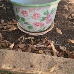 Flower Pot