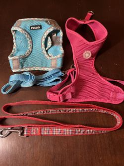 Dog leashes & harnesses $3 each