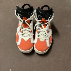 Air Jordan 6 Gatorade