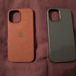 Apple iPhone 12 Pro Max Magsafe Case