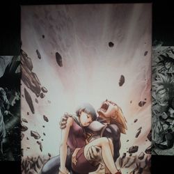 Death Of Bulma Canvas