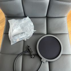 Pop Filter Microphone