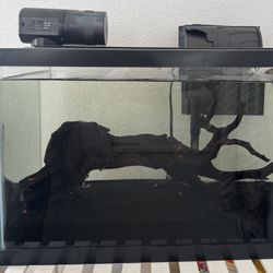 Home Decor, Aquarium 