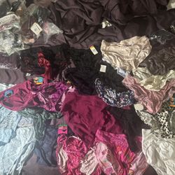 PANTY RAID 20+ Lot Women’s Panties All Large New With Tags