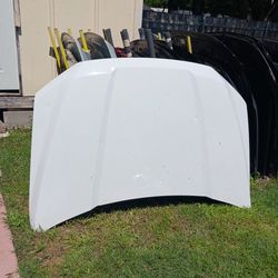 2015-2020 Ford F150 Hood OEM