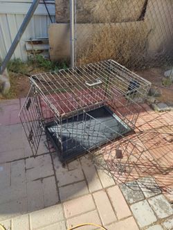 Dog cage "42