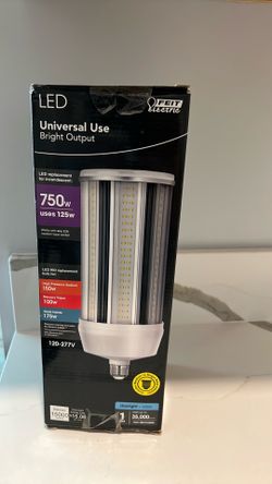 LED replacement for incandescent