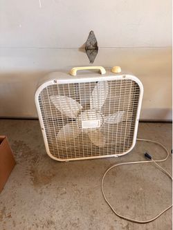 Fan