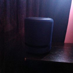 Speaker