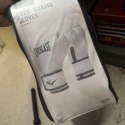 Boxing Gloves 