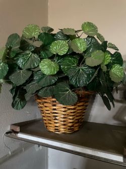 Fake plants