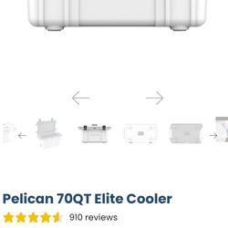 Pelican Ice Box