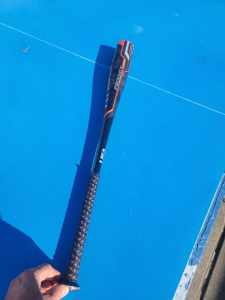 Baseball Bat