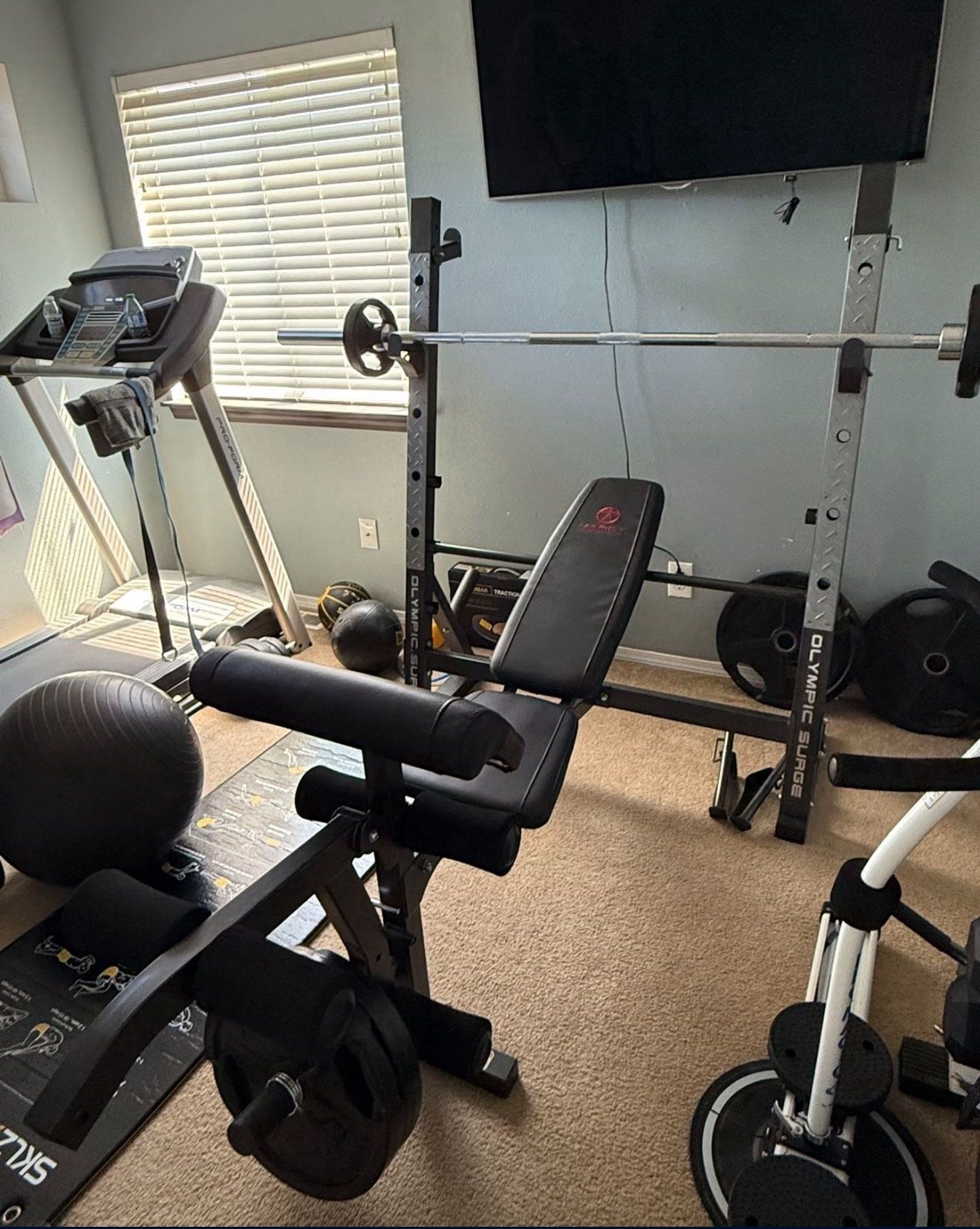 Olympic Surge Weight Bench & 7’ Olympic Bar and Weights