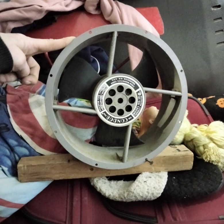 Fan 