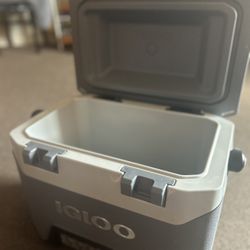 Igloo Cooler 