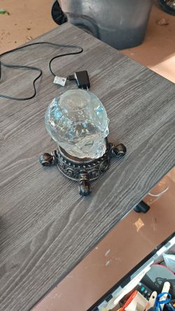 Skull