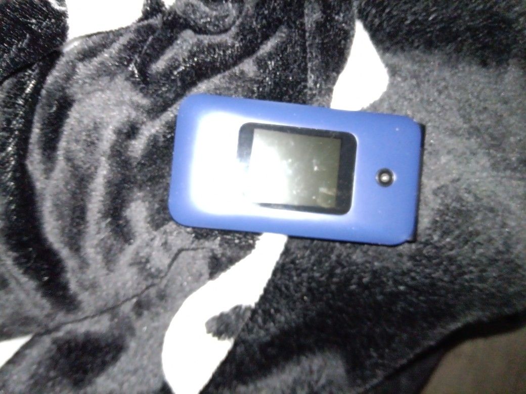 Cricket Flip Phone