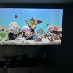 75 Inch TV TCL GOOGLE Smart TV 