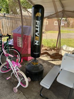 Standing Punching Bag