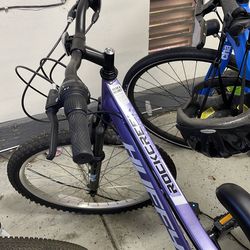 Purple bike