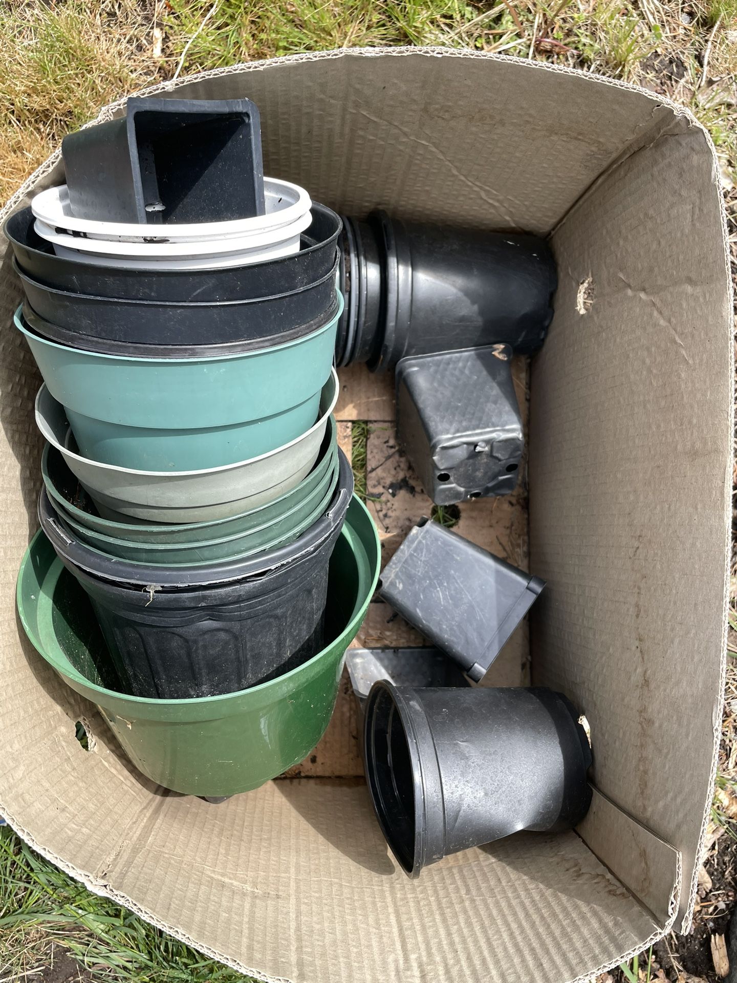 Plant Pots - Free to a good home