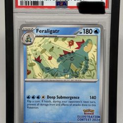 FERALIGATR ILLUSTRATION CONTEST 2024