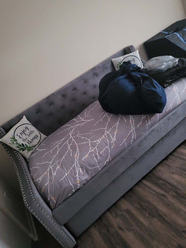 Double Sleeper Couch