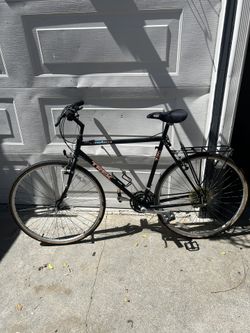 Trek Bike 