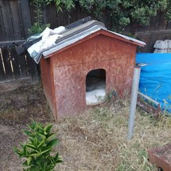 Dog House