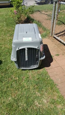Large pet shipping cage