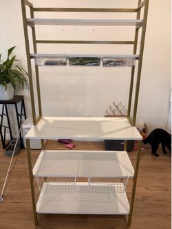 Shelf