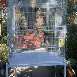 Metal Bird Cage