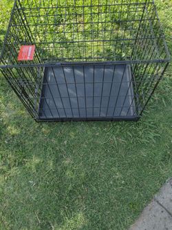 Pet's case