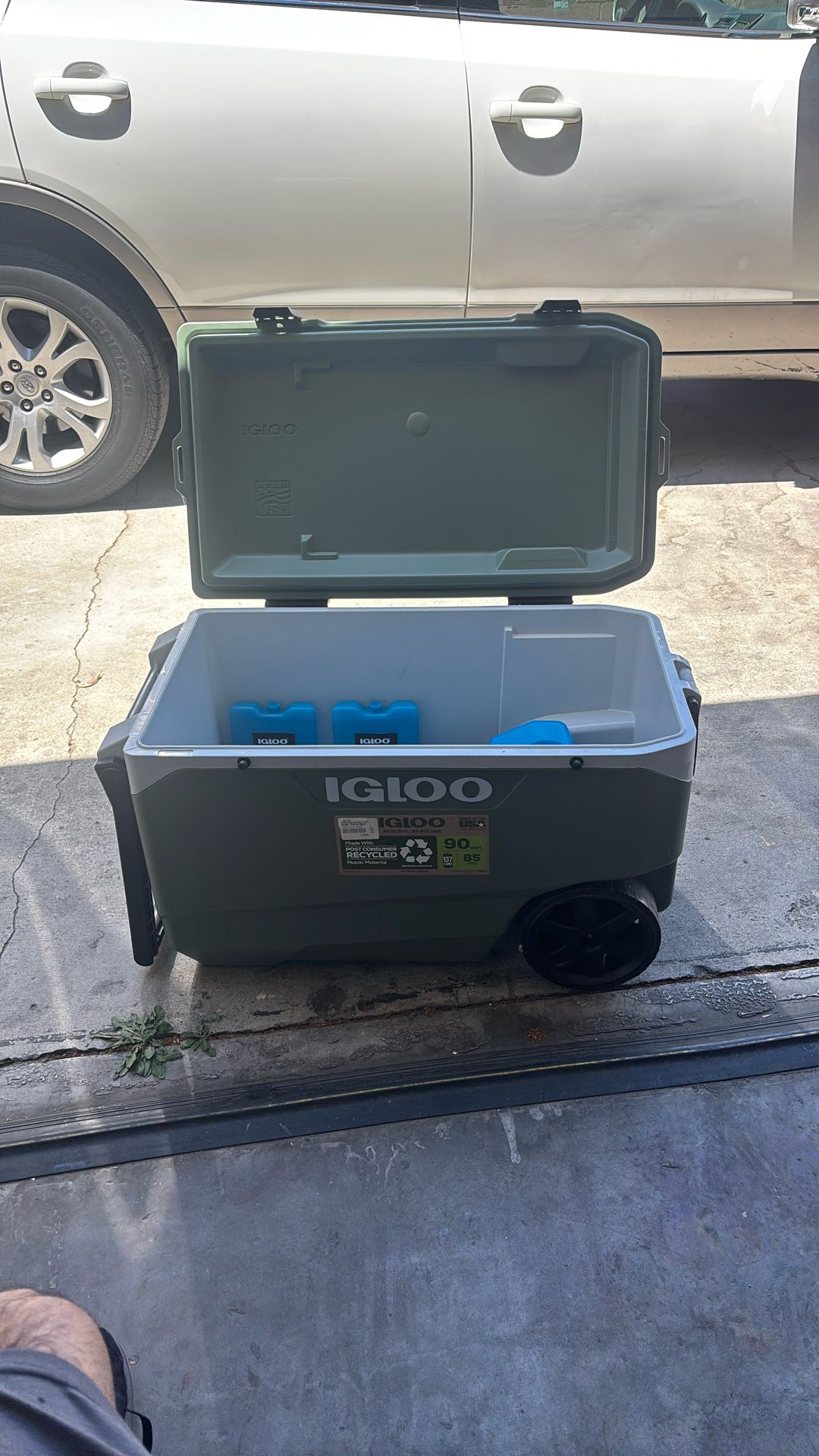 Cooler Igloo