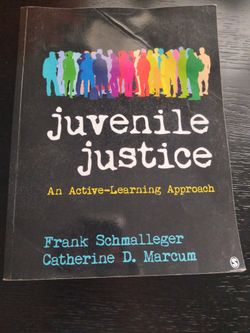 Juvenile Justice: An Active learning Approach